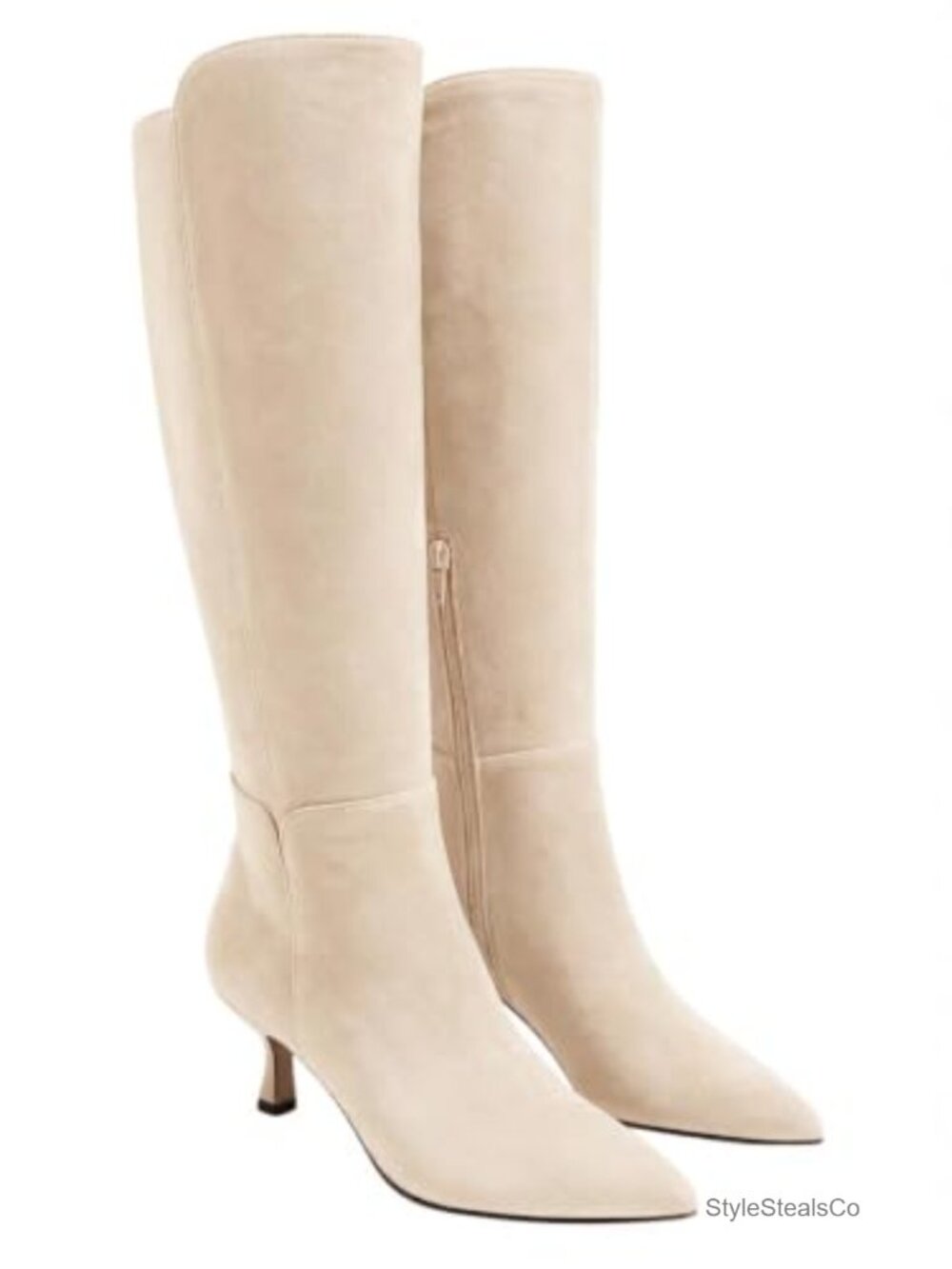 Coutgo Womens Knee High Boots Kitten Heel Pointed Toe Zip Tall Dress Boots